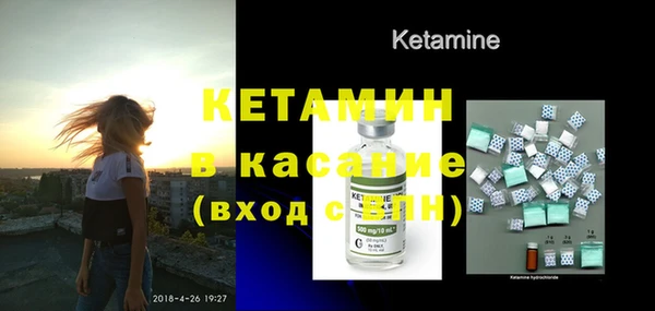 сатива Каменка