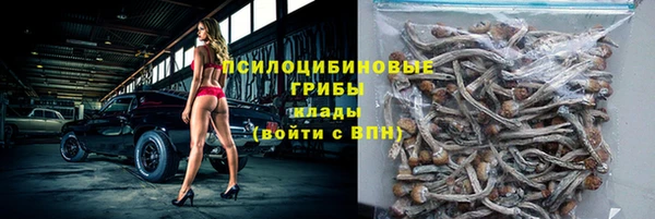 сатива Каменка